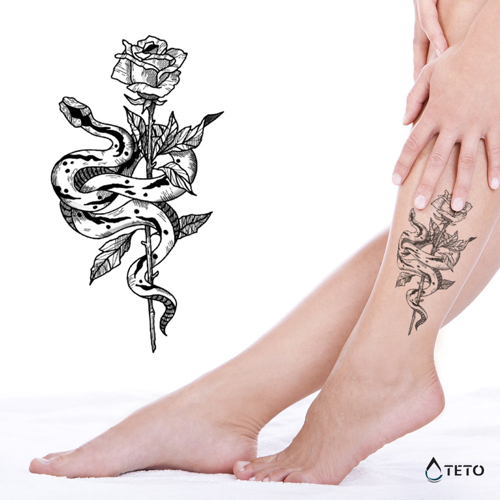 Serpente con una rosa