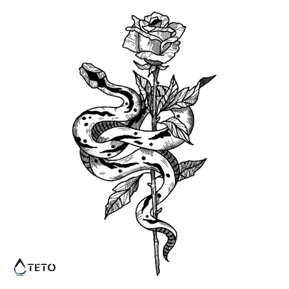 Serpente con una rosa