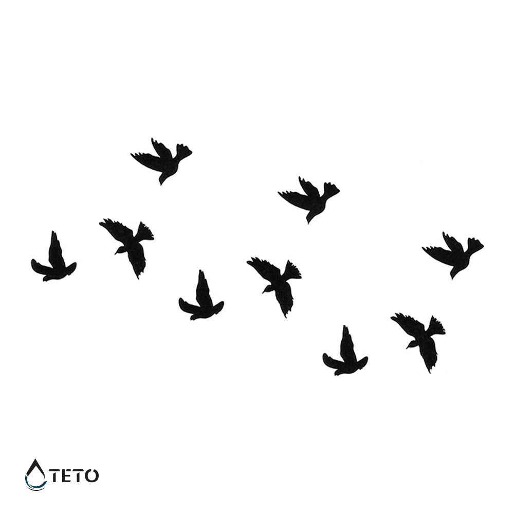 Uccelli in volo - set