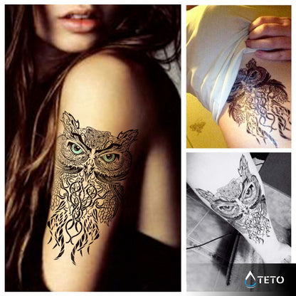 Gufo con occhi blu - TETO Tatuaggi Temporanei