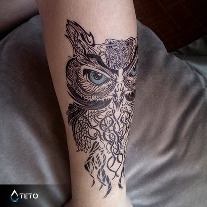 Gufo con occhi blu - TETO Tatuaggi Temporanei