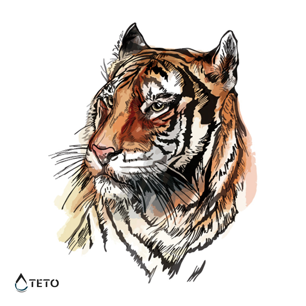 Tigre disegnata - TETO Tatuaggi Temporanei