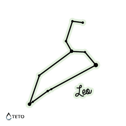 Segno Leone – Brilla nel buio