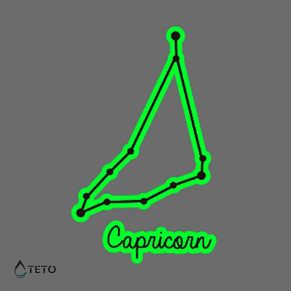 Segno Capricorno – Brilla nel buio