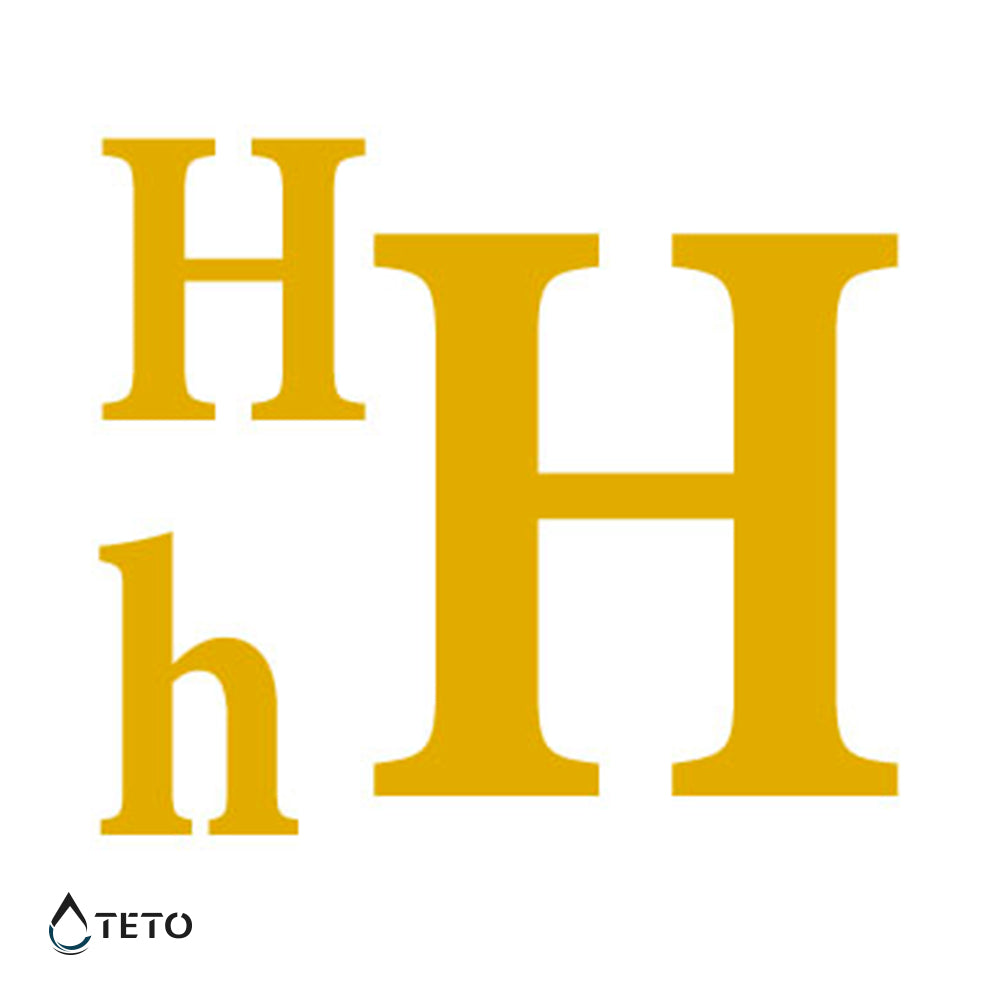 Lettera H - set - TETO Tatuaggi Temporanei