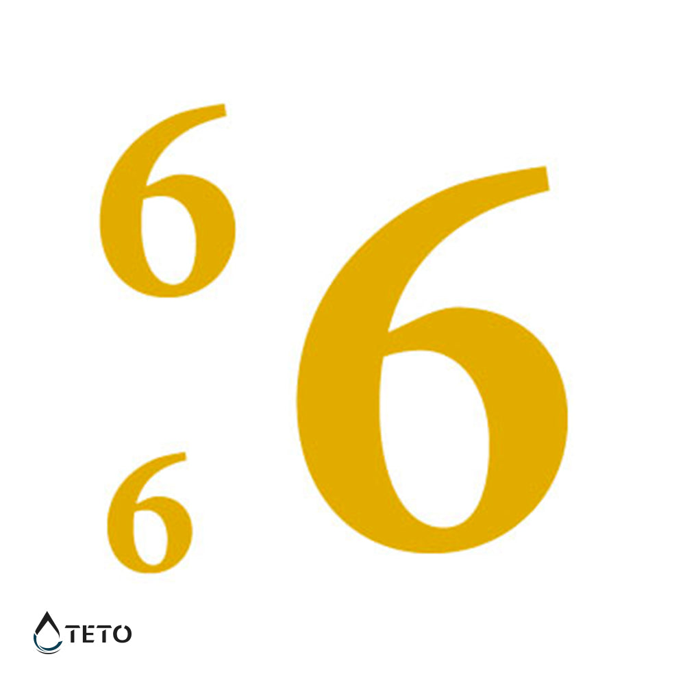 Numero 6 o 9 - set - TETO Tatuaggi Temporanei