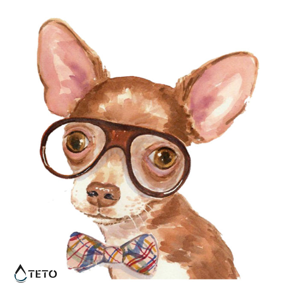 Chihuahua - TETO Tatuaggi Temporanei
