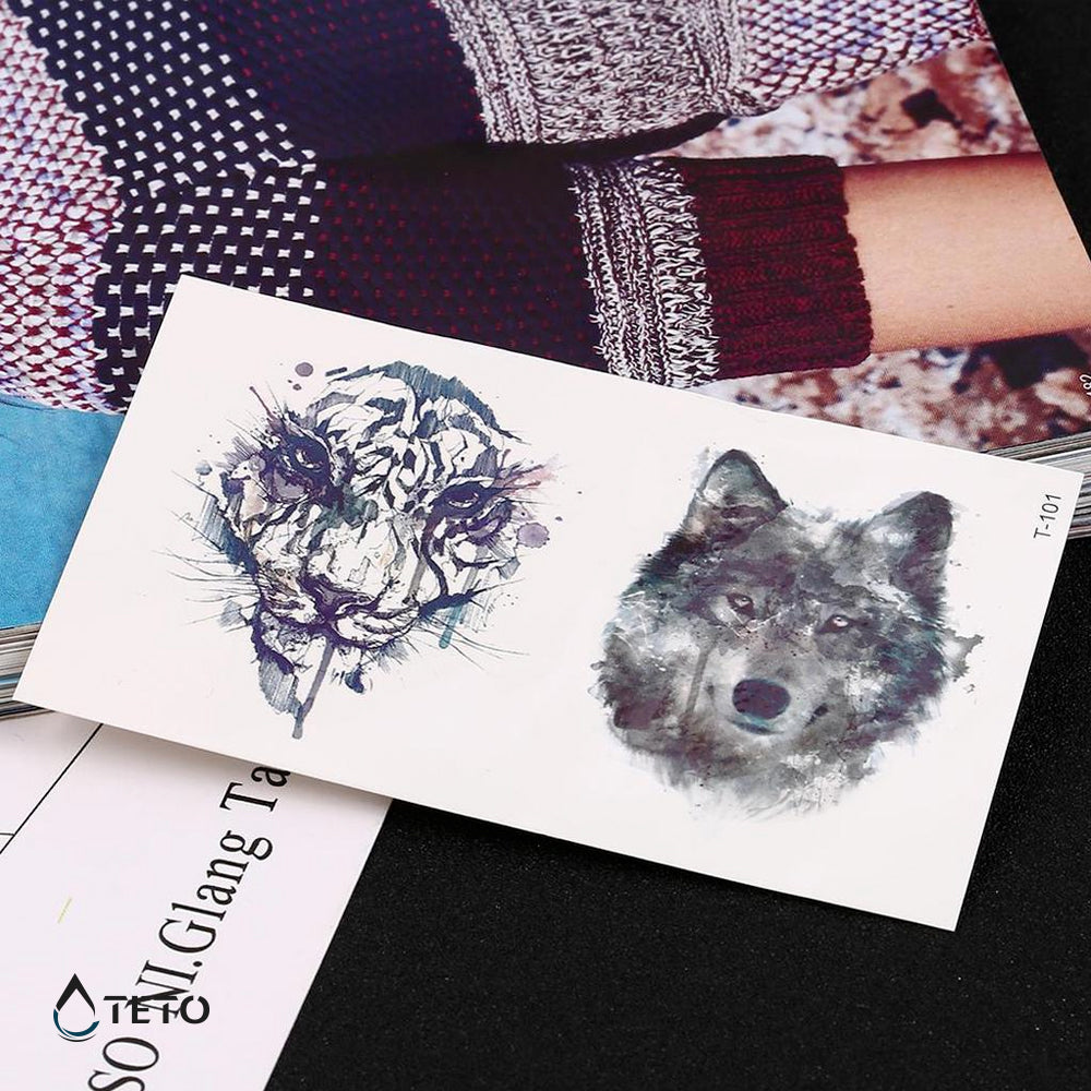 Tigre e lupo - set