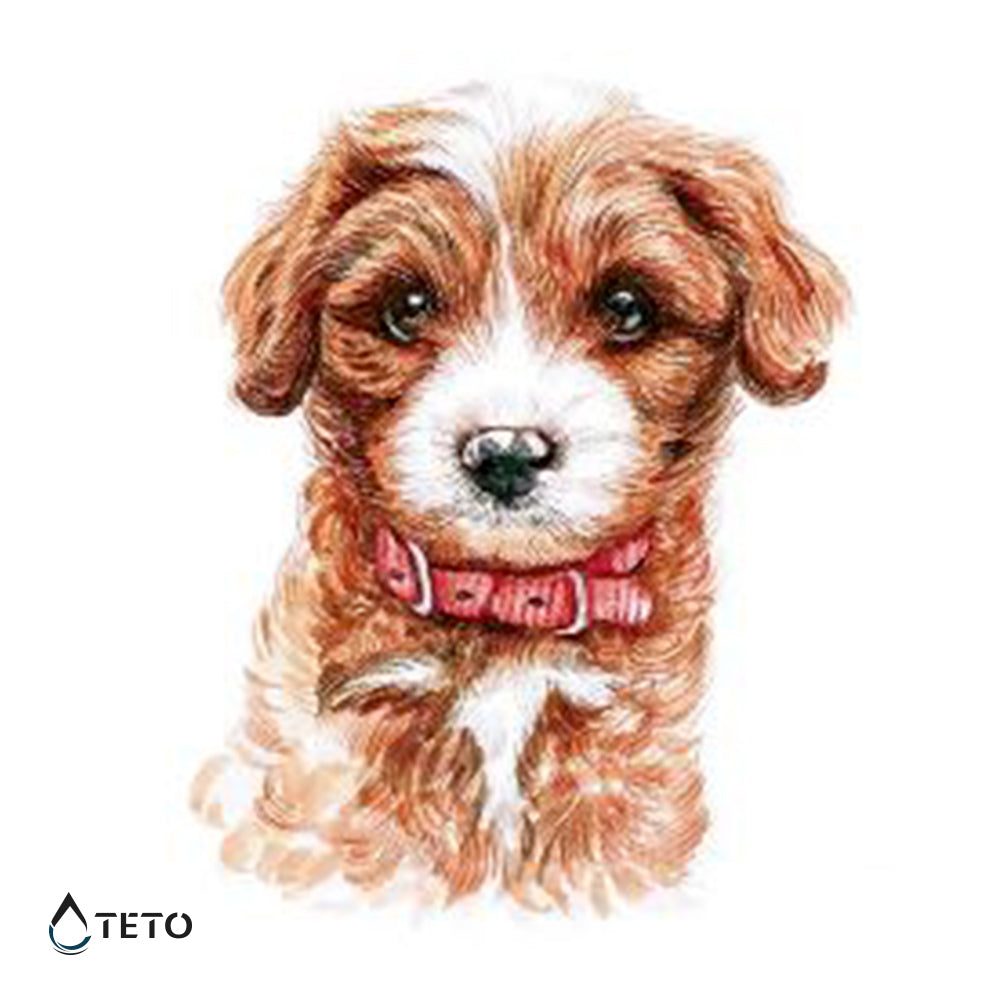 Cane adorabile - TETO Tatuaggi Temporanei