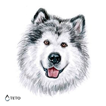 Cane Husky siberiano - TETO Tatuaggi Temporanei