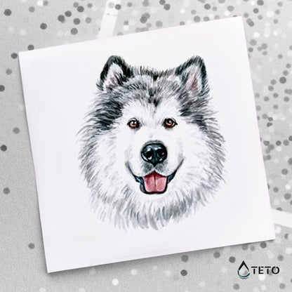 Cane Husky siberiano - TETO Tatuaggi Temporanei