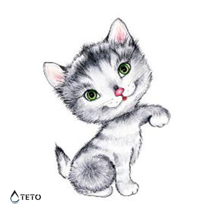 Gatto adorabile - TETO Tatuaggi Temporanei