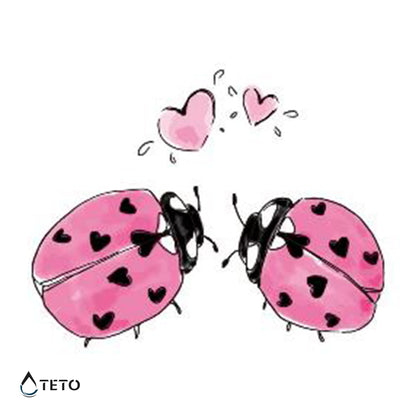 Coccinelle - TETO Tatuaggi Temporanei