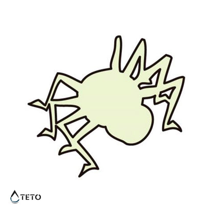 Ragno - Brilla nel buio