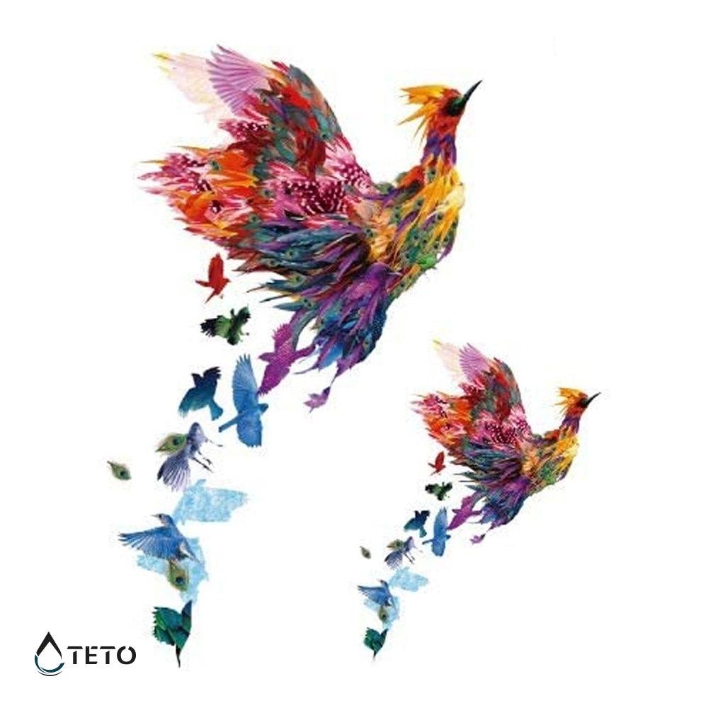 Uccello - set