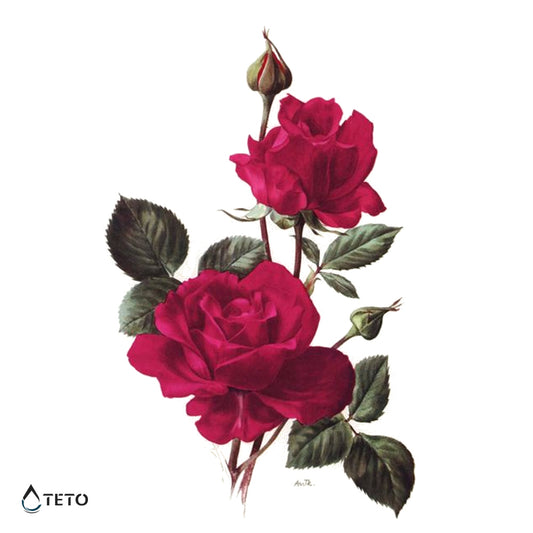 Rose rosse – Tipo A