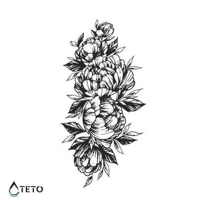 Peonie – Semipermanente