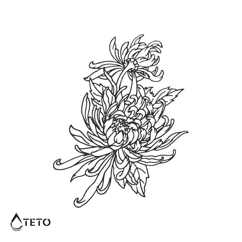 Crisantemo – Semipermanente - TETO Tatuaggi Temporanei