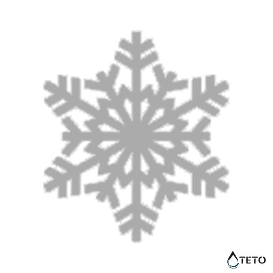 Fiocco di neve - TETO Tatuaggi Temporanei